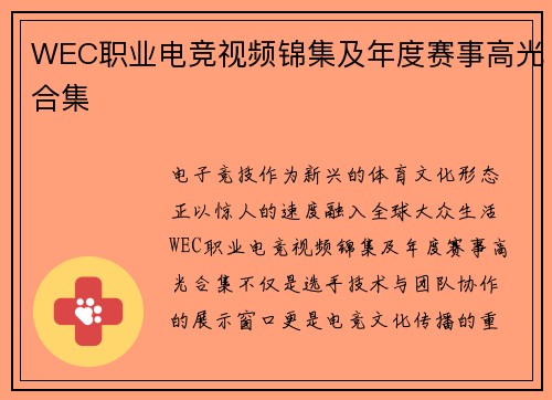 WEC职业电竞视频锦集及年度赛事高光合集